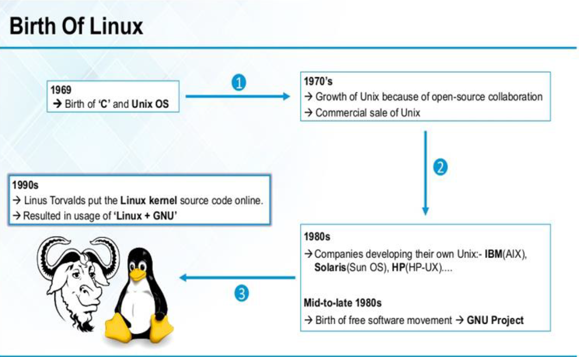 [Birth Of Linux](../images/birthoflinux.png)